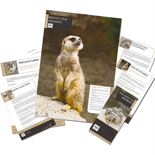 Adopt a Meerkat Adopt a Meerkat